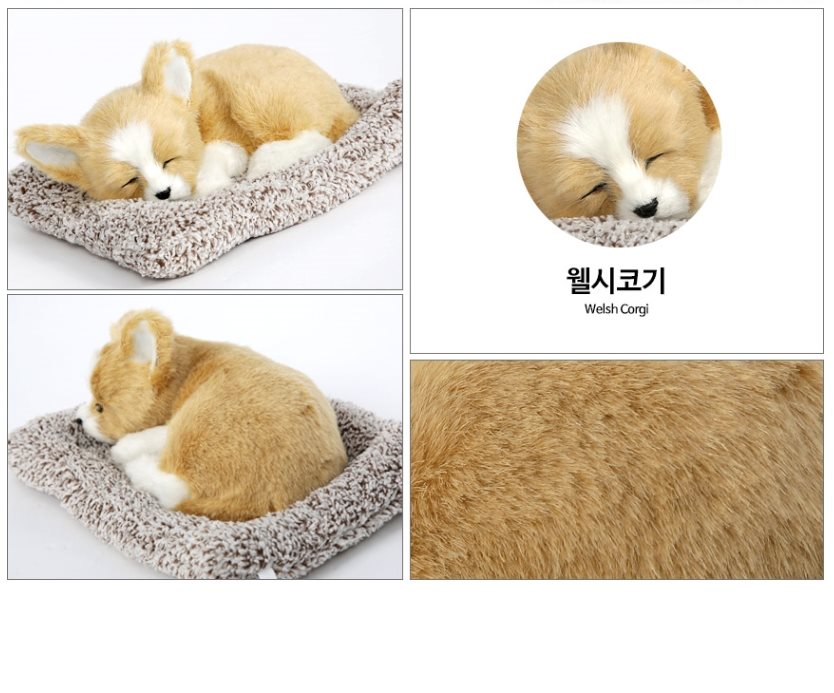 리얼펫 잠자는 강아지 고양이 차량용 제습 탈취 인형 활성탄 , 5,900원, 바바쇼이 [디비디비]